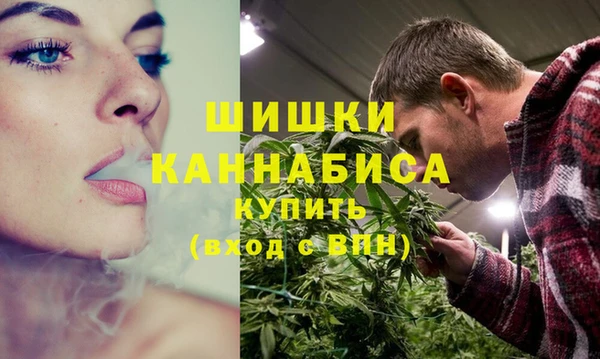 твердый Богородицк