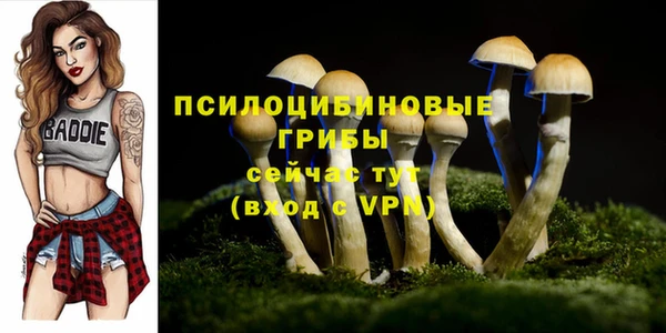 MDMA Белоозёрский