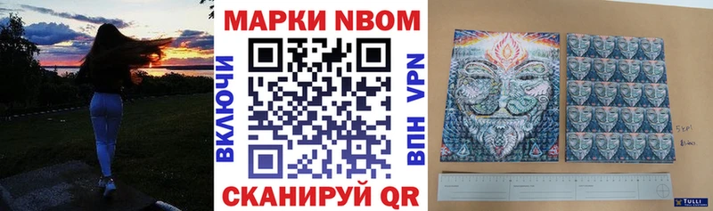 blacksprut ссылка Буй Наркотические марки 1,8мг как найти наркотики