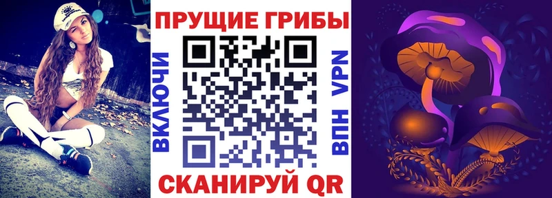 Галлюциногенные грибы Cubensis  купить наркоту  Буй 